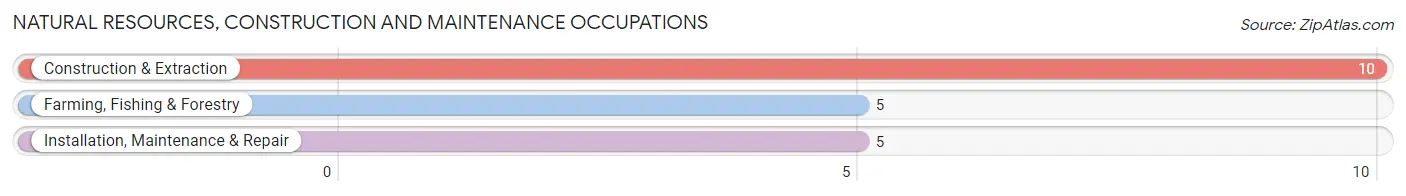 Natural Resources, Construction and Maintenance Occupations in Mcnary