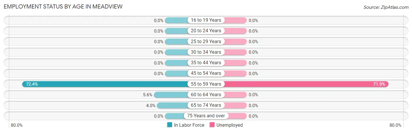 Employment Status by Age in Meadview