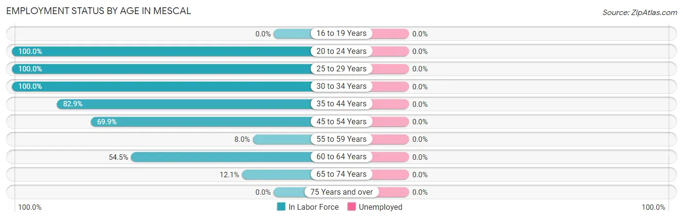 Employment Status by Age in Mescal