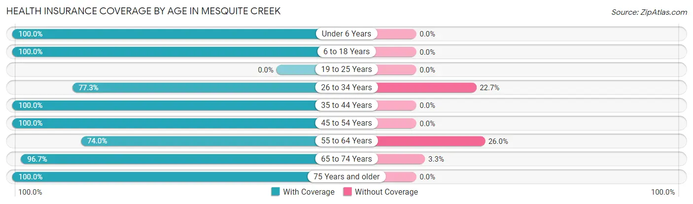 Health Insurance Coverage by Age in Mesquite Creek