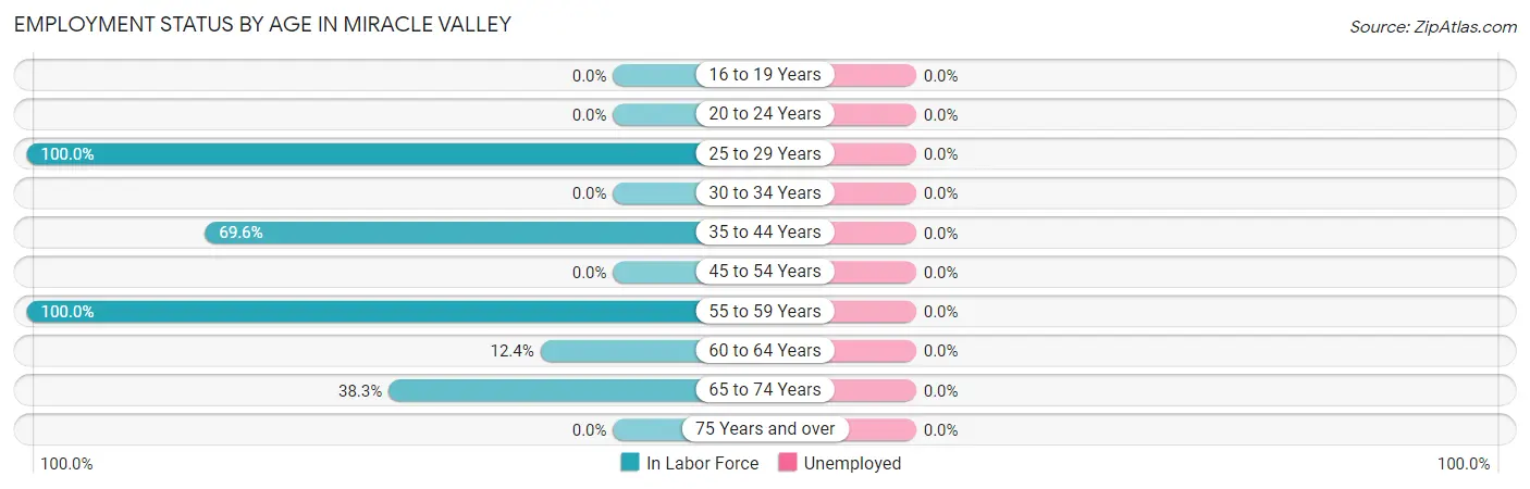 Employment Status by Age in Miracle Valley