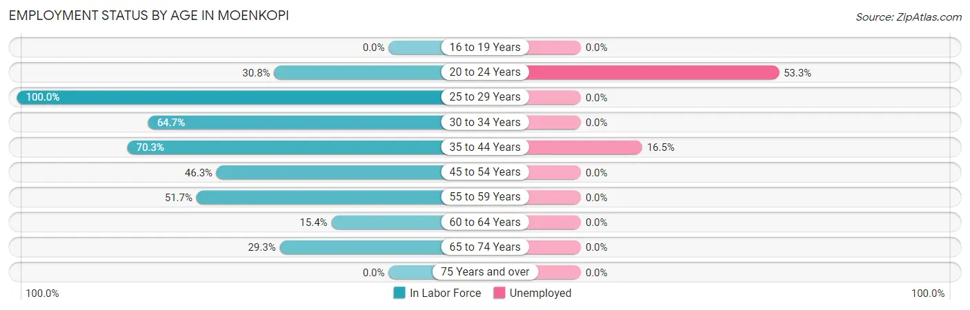 Employment Status by Age in Moenkopi