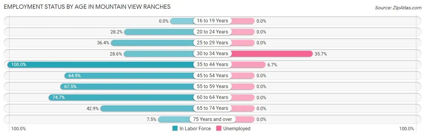Employment Status by Age in Mountain View Ranches