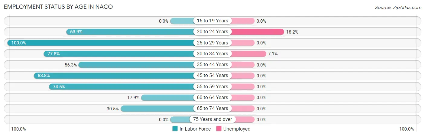 Employment Status by Age in Naco