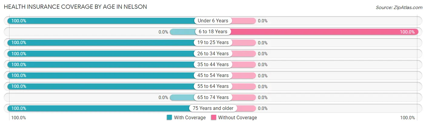 Health Insurance Coverage by Age in Nelson