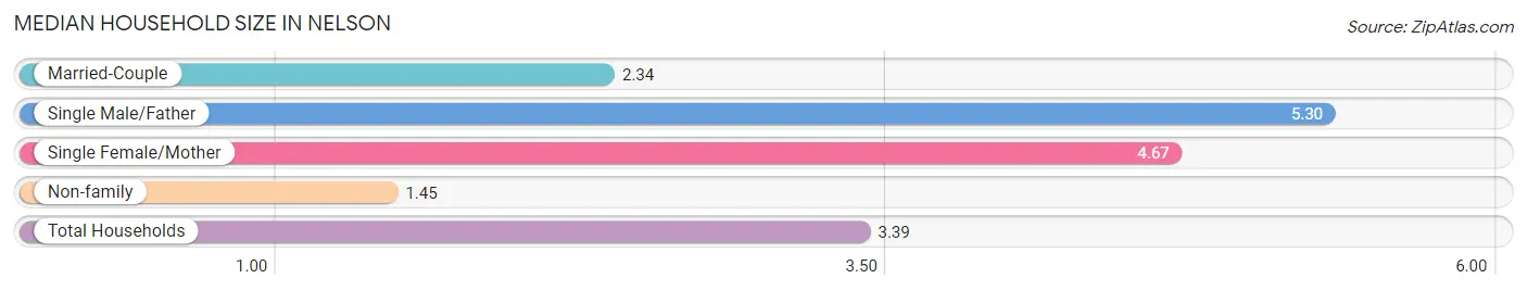 Median Household Size in Nelson