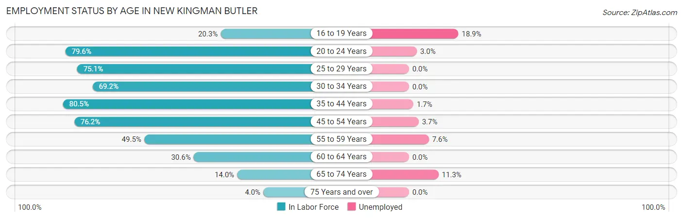 Employment Status by Age in New Kingman Butler