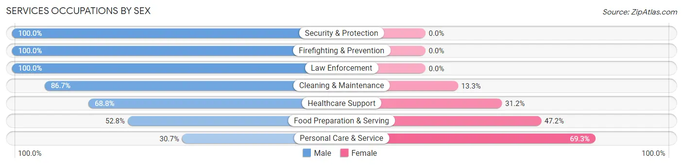 Services Occupations by Sex in New River