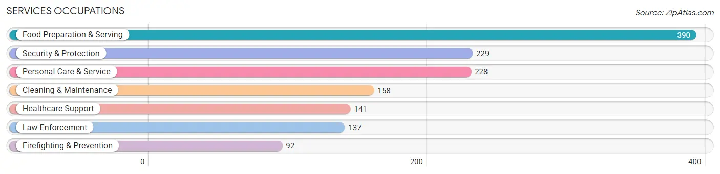 Services Occupations in New River