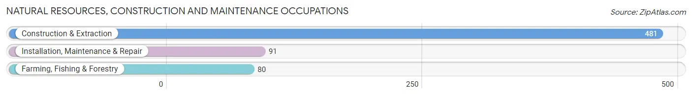 Natural Resources, Construction and Maintenance Occupations in Nogales