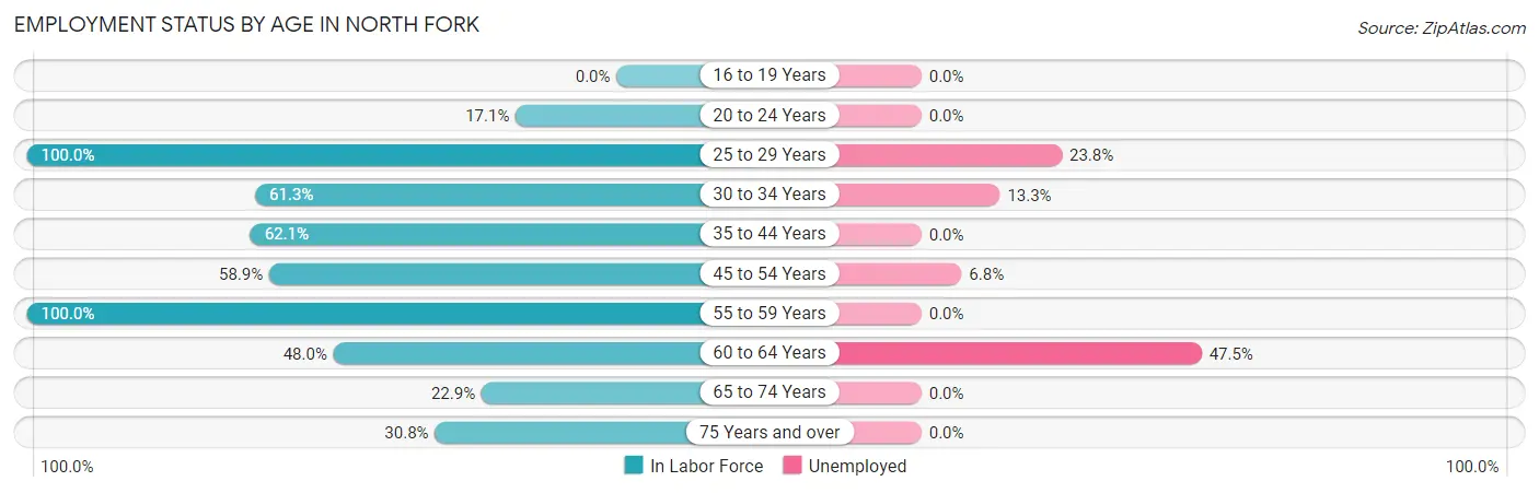Employment Status by Age in North Fork