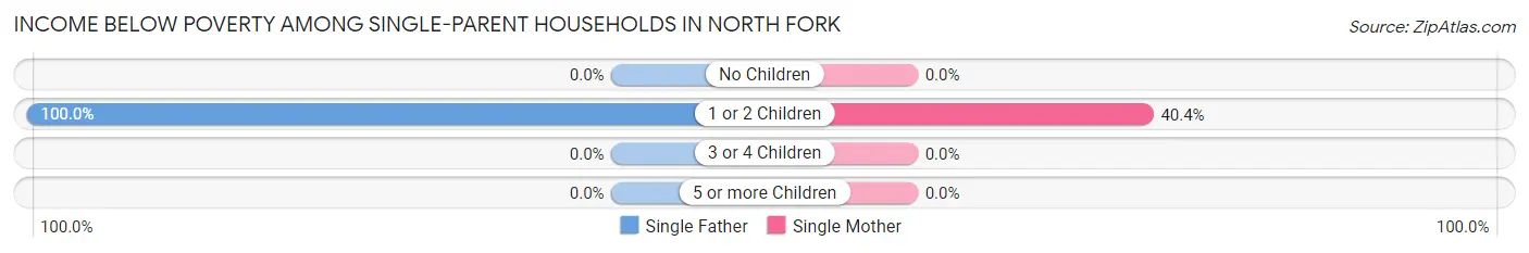 Income Below Poverty Among Single-Parent Households in North Fork