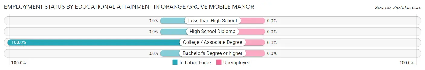 Employment Status by Educational Attainment in Orange Grove Mobile Manor
