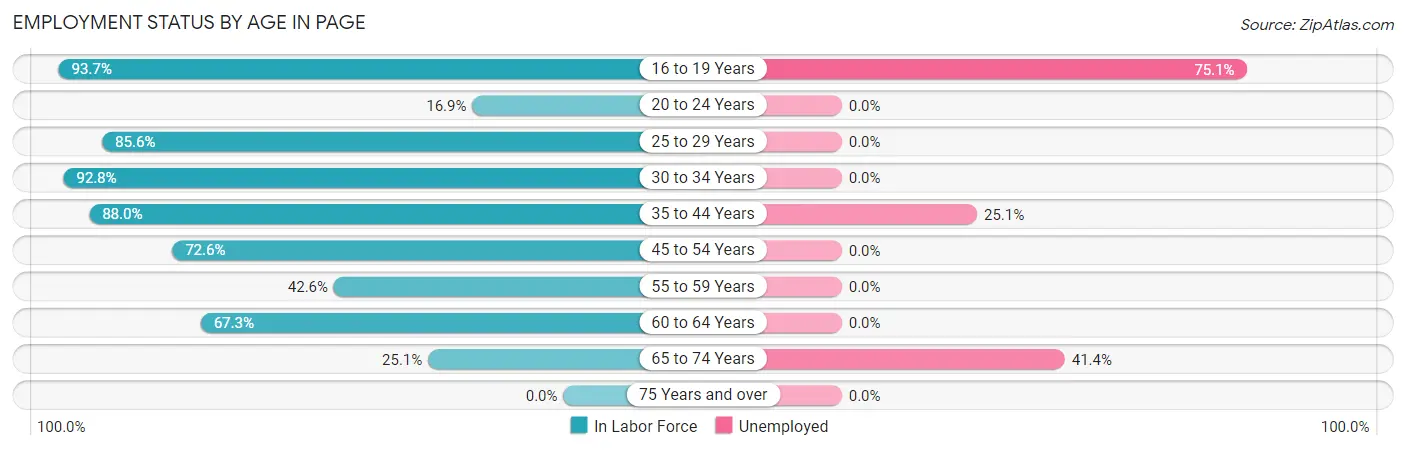 Employment Status by Age in Page