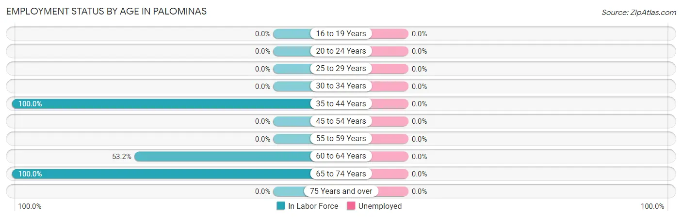 Employment Status by Age in Palominas