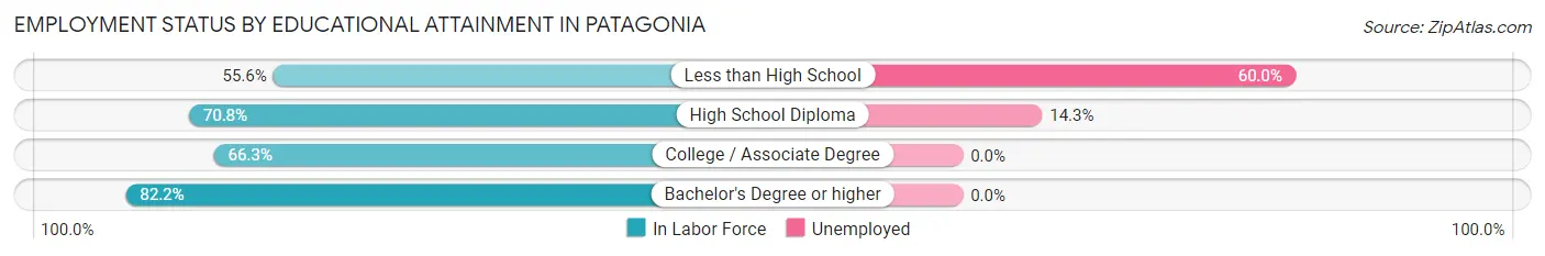 Employment Status by Educational Attainment in Patagonia