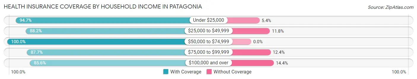 Health Insurance Coverage by Household Income in Patagonia