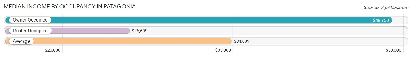 Median Income by Occupancy in Patagonia