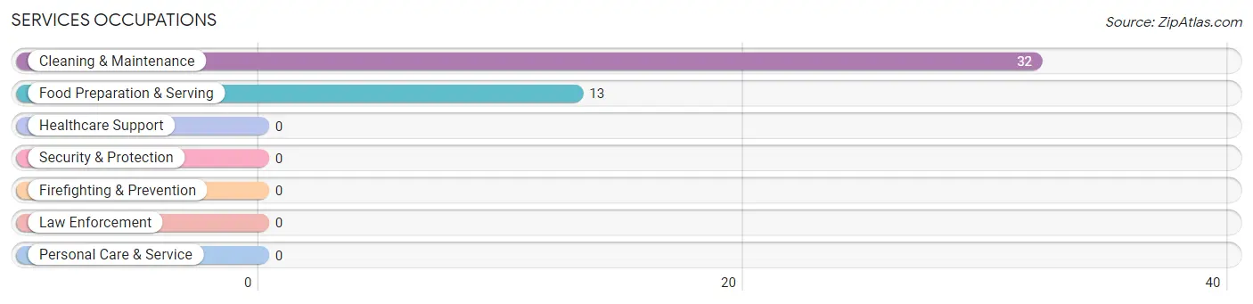 Services Occupations in Patagonia