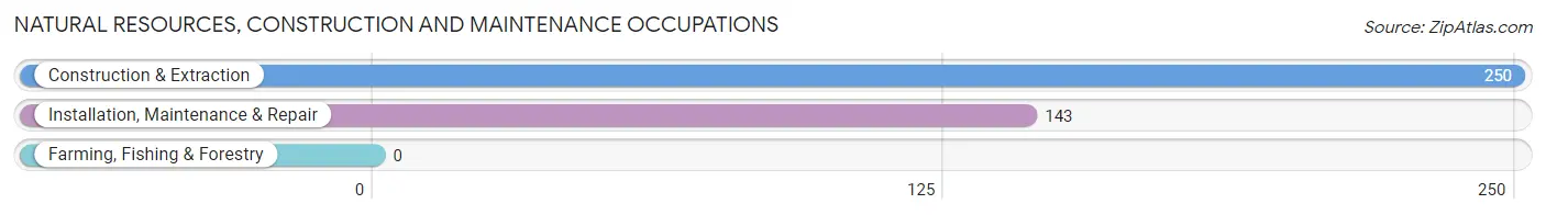 Natural Resources, Construction and Maintenance Occupations in Paulden