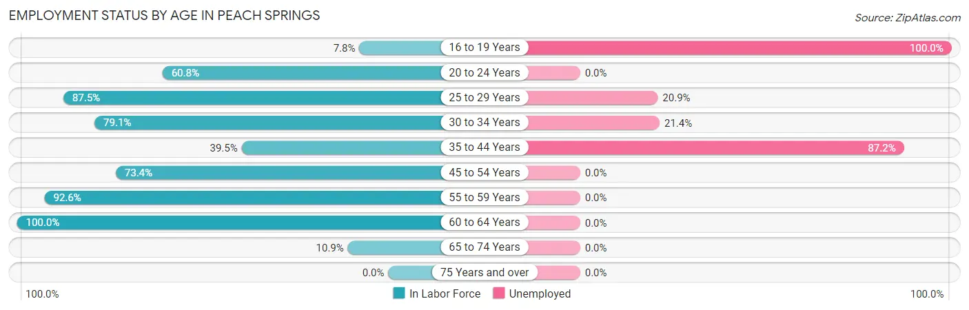 Employment Status by Age in Peach Springs