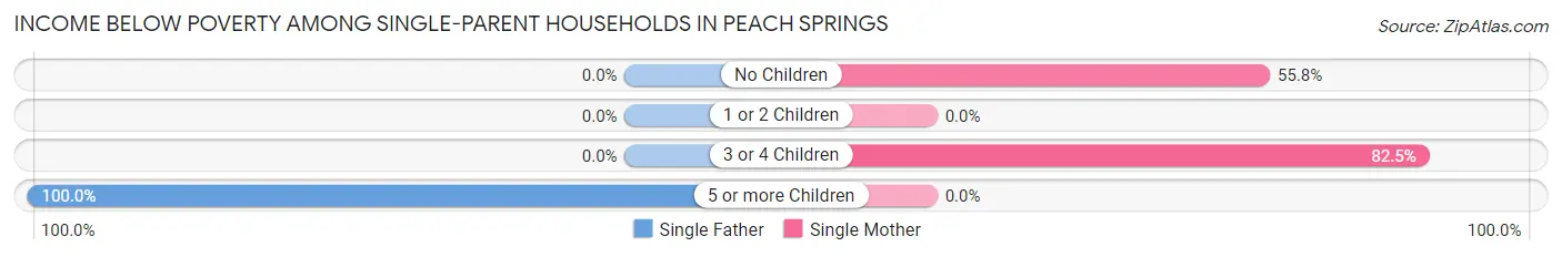 Income Below Poverty Among Single-Parent Households in Peach Springs