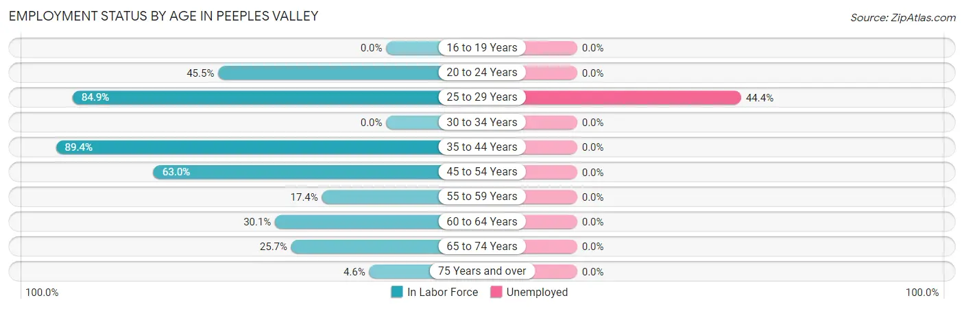 Employment Status by Age in Peeples Valley