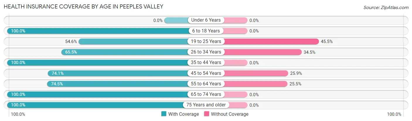 Health Insurance Coverage by Age in Peeples Valley