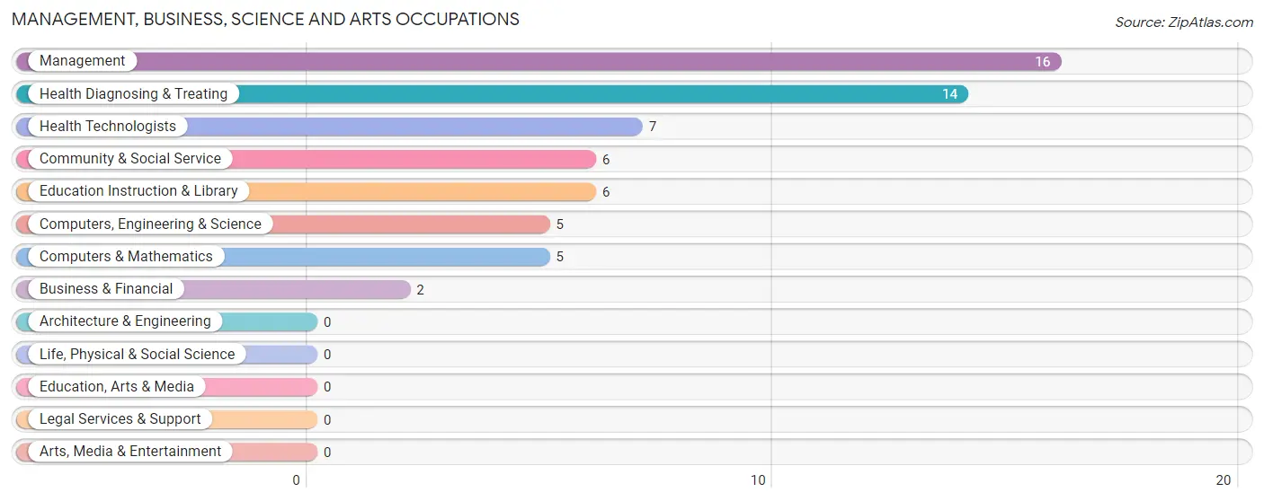 Management, Business, Science and Arts Occupations in Peeples Valley