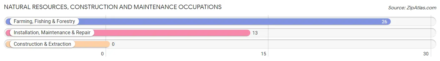 Natural Resources, Construction and Maintenance Occupations in Peridot