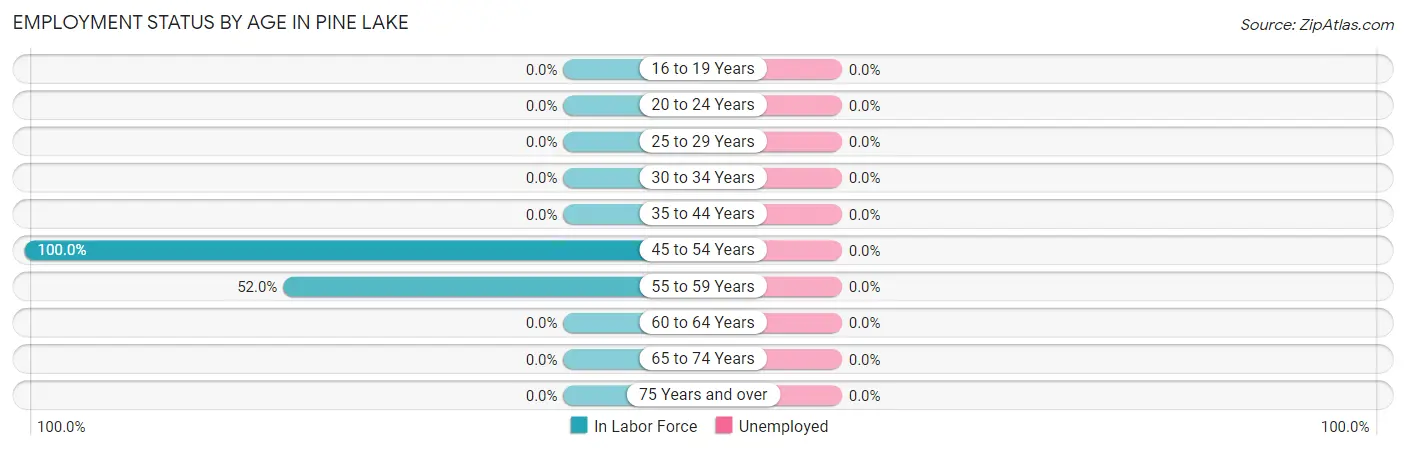 Employment Status by Age in Pine Lake