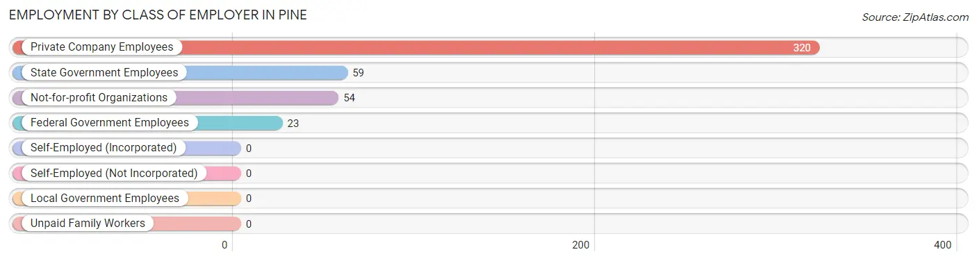 Employment by Class of Employer in Pine