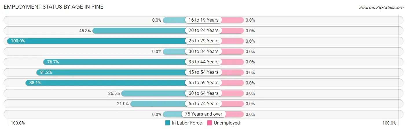 Employment Status by Age in Pine