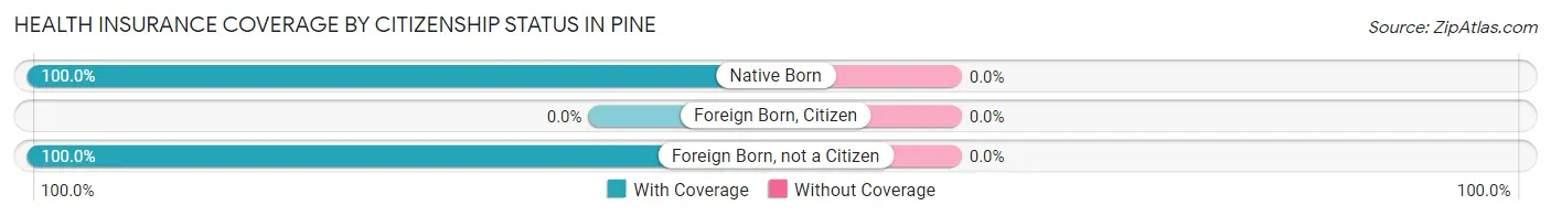 Health Insurance Coverage by Citizenship Status in Pine