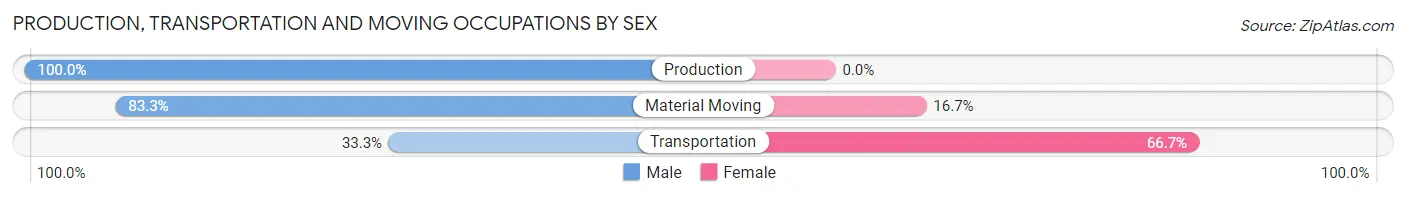 Production, Transportation and Moving Occupations by Sex in Pinetop Lakeside