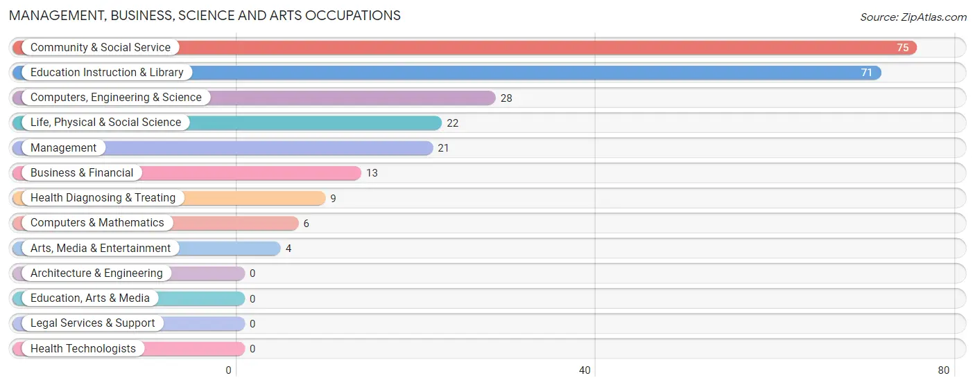 Management, Business, Science and Arts Occupations in Pinon