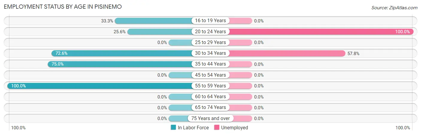 Employment Status by Age in Pisinemo