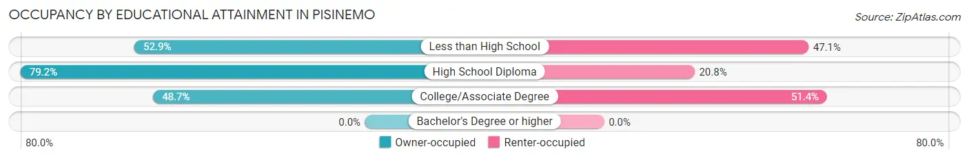 Occupancy by Educational Attainment in Pisinemo