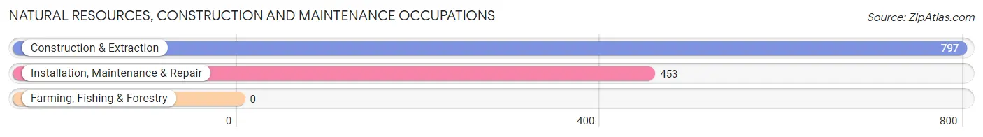 Natural Resources, Construction and Maintenance Occupations in Prescott