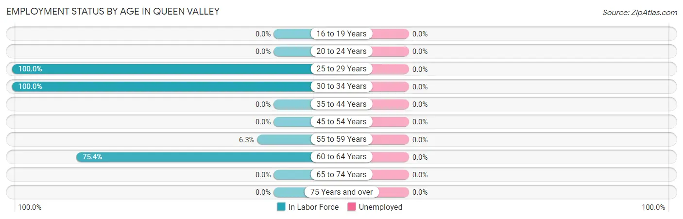 Employment Status by Age in Queen Valley
