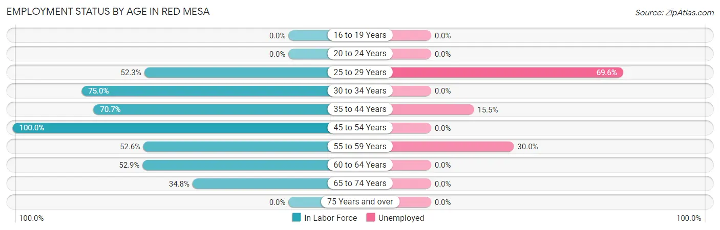 Employment Status by Age in Red Mesa