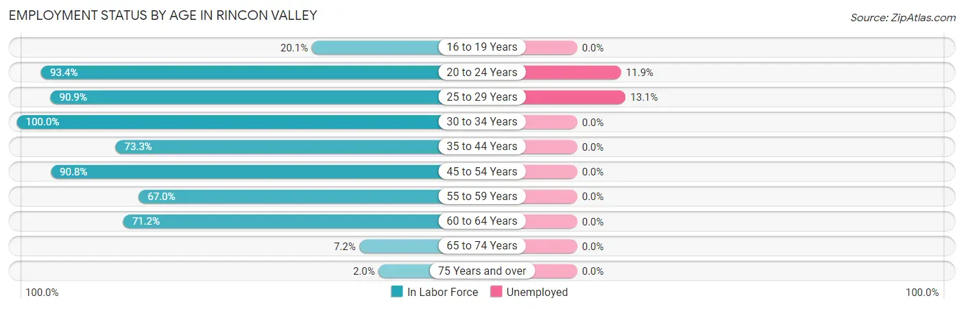 Employment Status by Age in Rincon Valley