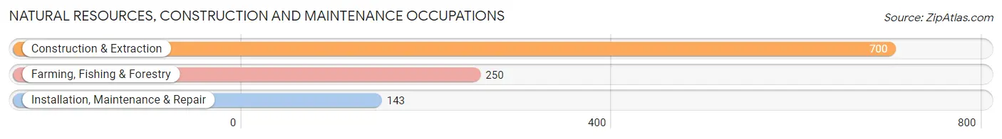 Natural Resources, Construction and Maintenance Occupations in Rio Rico