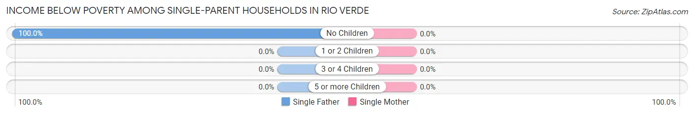 Income Below Poverty Among Single-Parent Households in Rio Verde