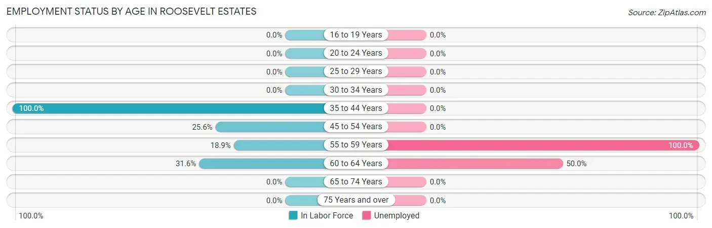 Employment Status by Age in Roosevelt Estates