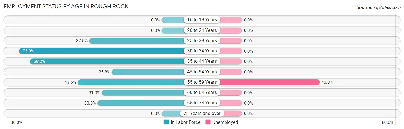 Employment Status by Age in Rough Rock