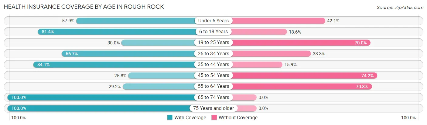 Health Insurance Coverage by Age in Rough Rock
