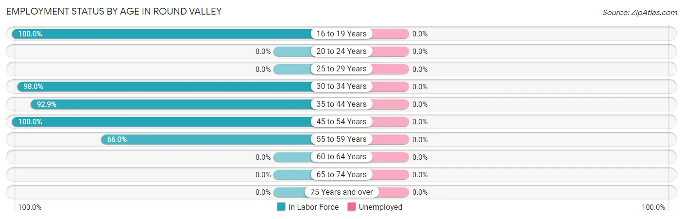 Employment Status by Age in Round Valley