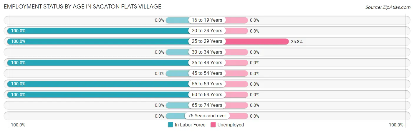Employment Status by Age in Sacaton Flats Village