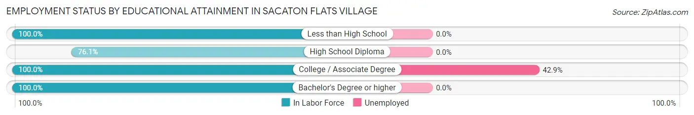 Employment Status by Educational Attainment in Sacaton Flats Village